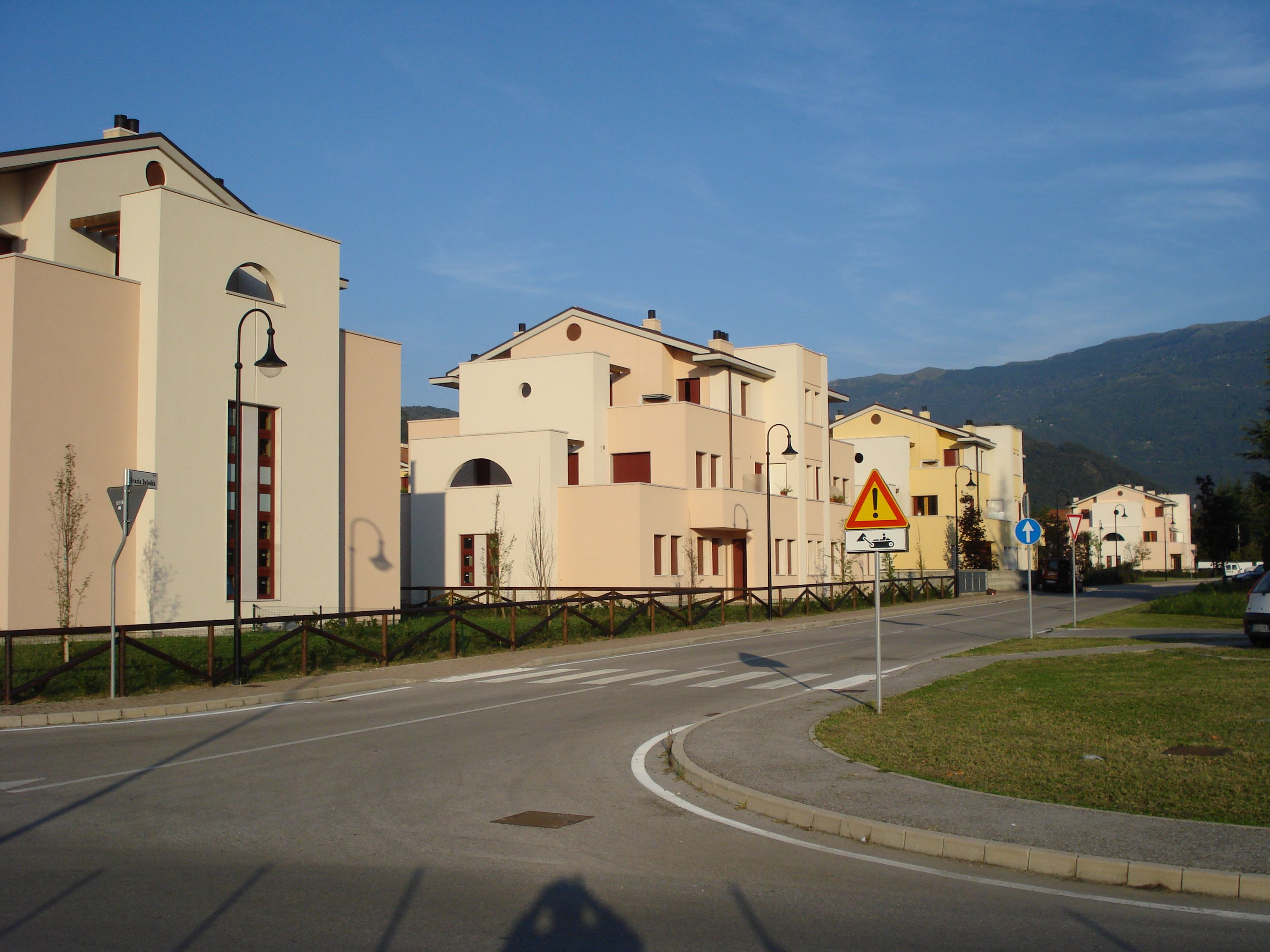 Fiori del parco