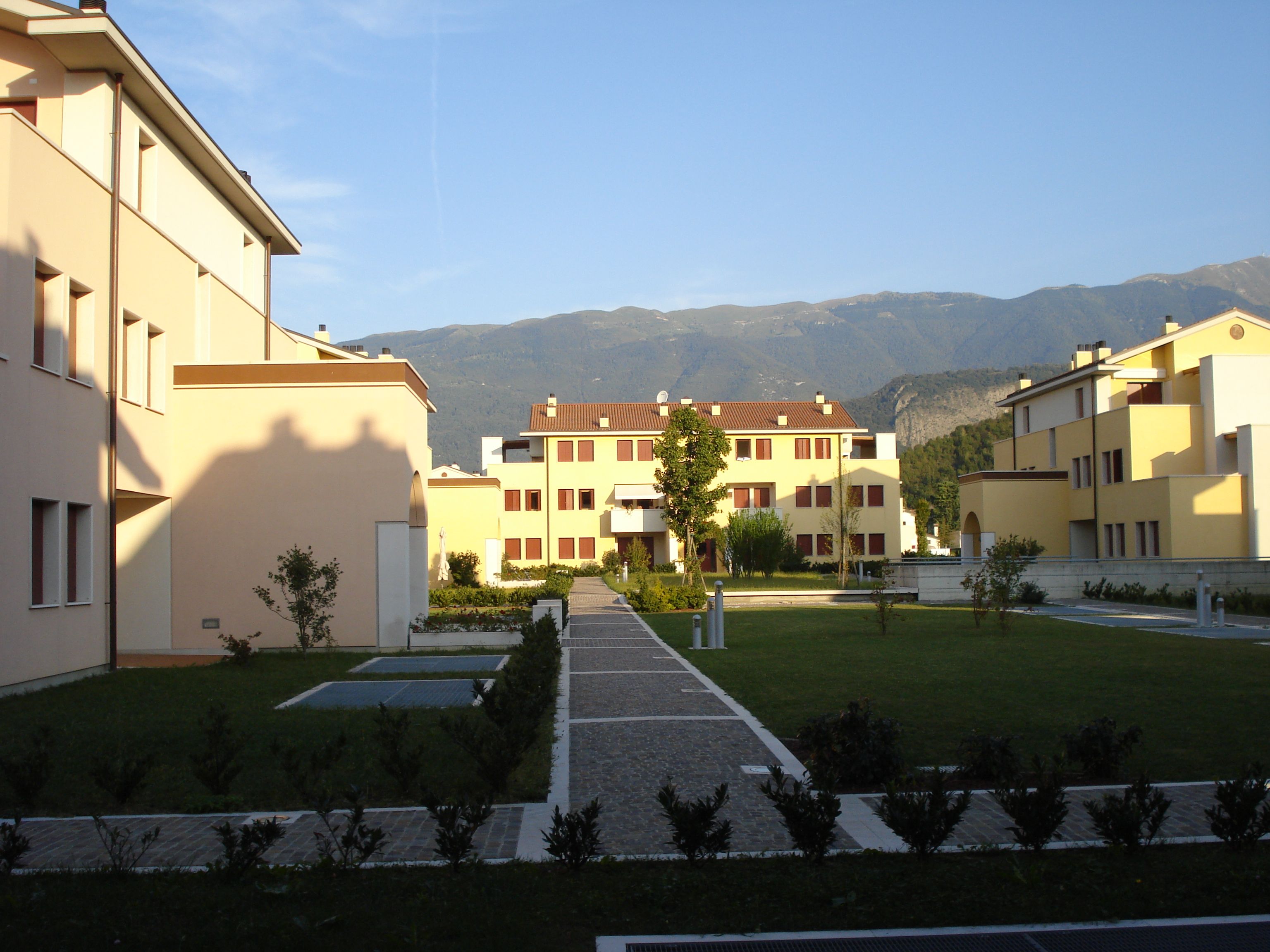 Fiori del parco