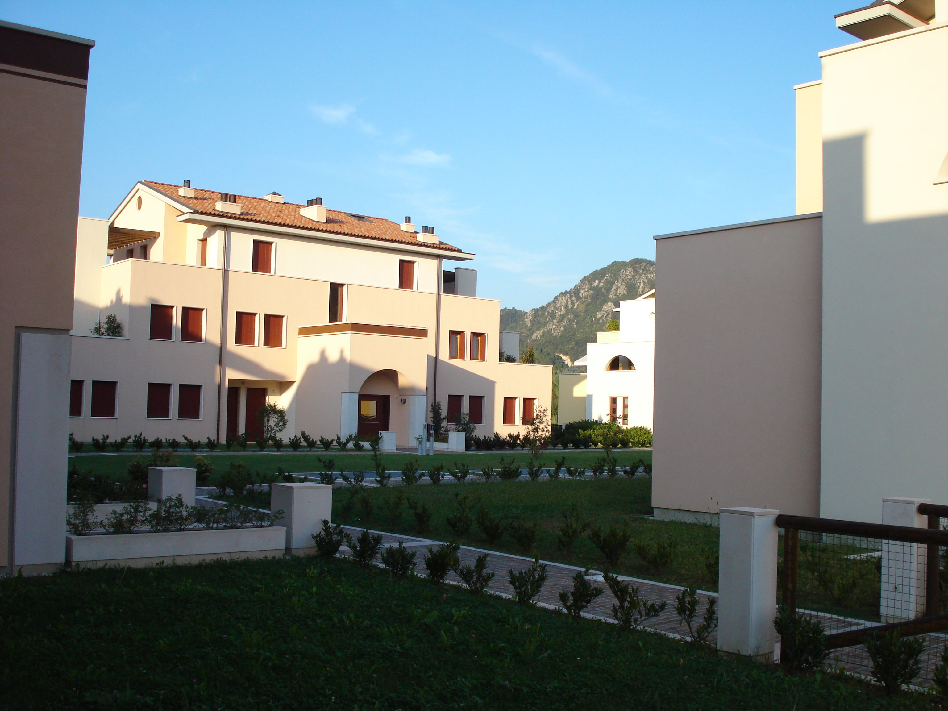 Fiori del parco
