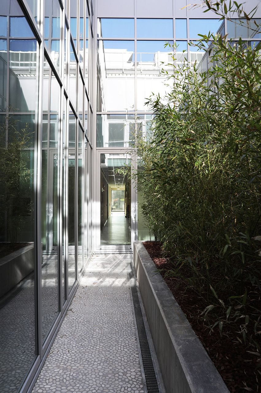 ZIP Anika Therapeutics